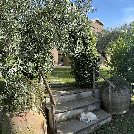 C Luxury Estate SantʼAntonio Abate