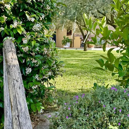 C Luxury Estate Alojamento de Acomodação e Pequeno-almoço 4*